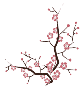 cherry blossom free vector