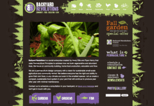 Website Design & Development
