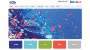 Website Design & Development