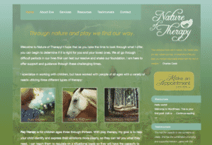 Website Design & Development