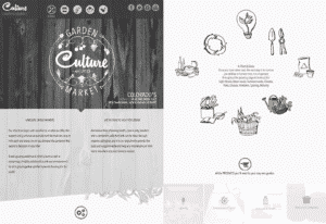 Website Design & Development