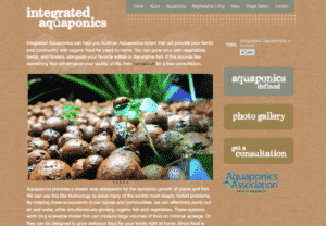 Website Design & Development
