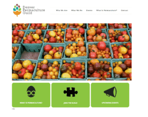 Website Design & Development