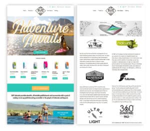 Website Design & Development